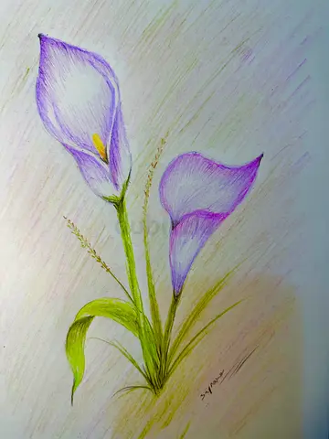 Art classes for kids & Adults | online | offline | In-person