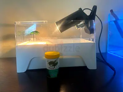 Turtle tank