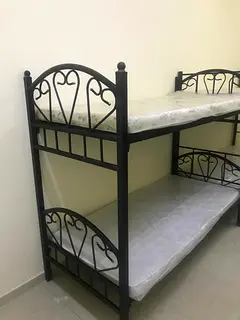 Bed Space Available for Executive Bachelors at Al Qusais -1
