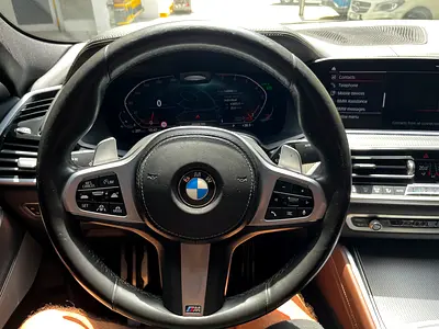 2020 BMW X6 照片 9