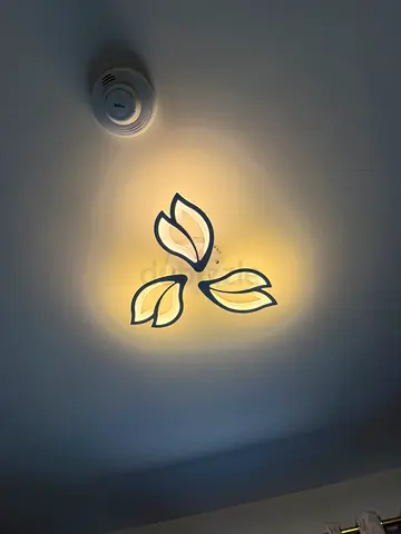 Modern LED Ceiling Light - Leaf Design, Warm White