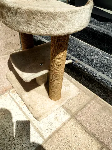 Cat tree. Litter box and accessories