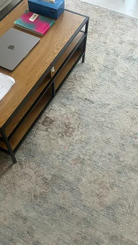Large neutral modern area rug - good condition
