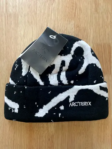 Arc'teryx beanie