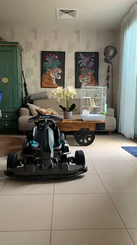 Segway go kart 2pro