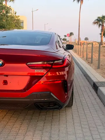 2019 BMW 8-SERIES photo 15