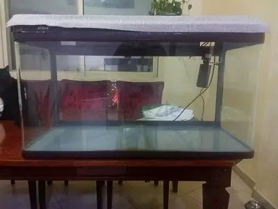 Used 60cm Glass Aquarium Tank with Hood and Filter