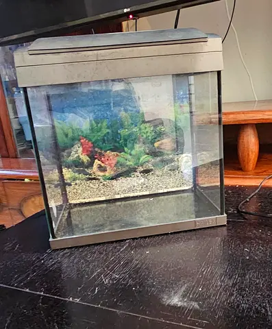 Aquarium/fish tank with light and filter