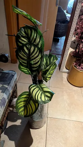 Artificial large variegated floor plant in decorative pot