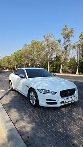 Jaguar XE 2026 Prestige GCC Specs - Brand New Condition