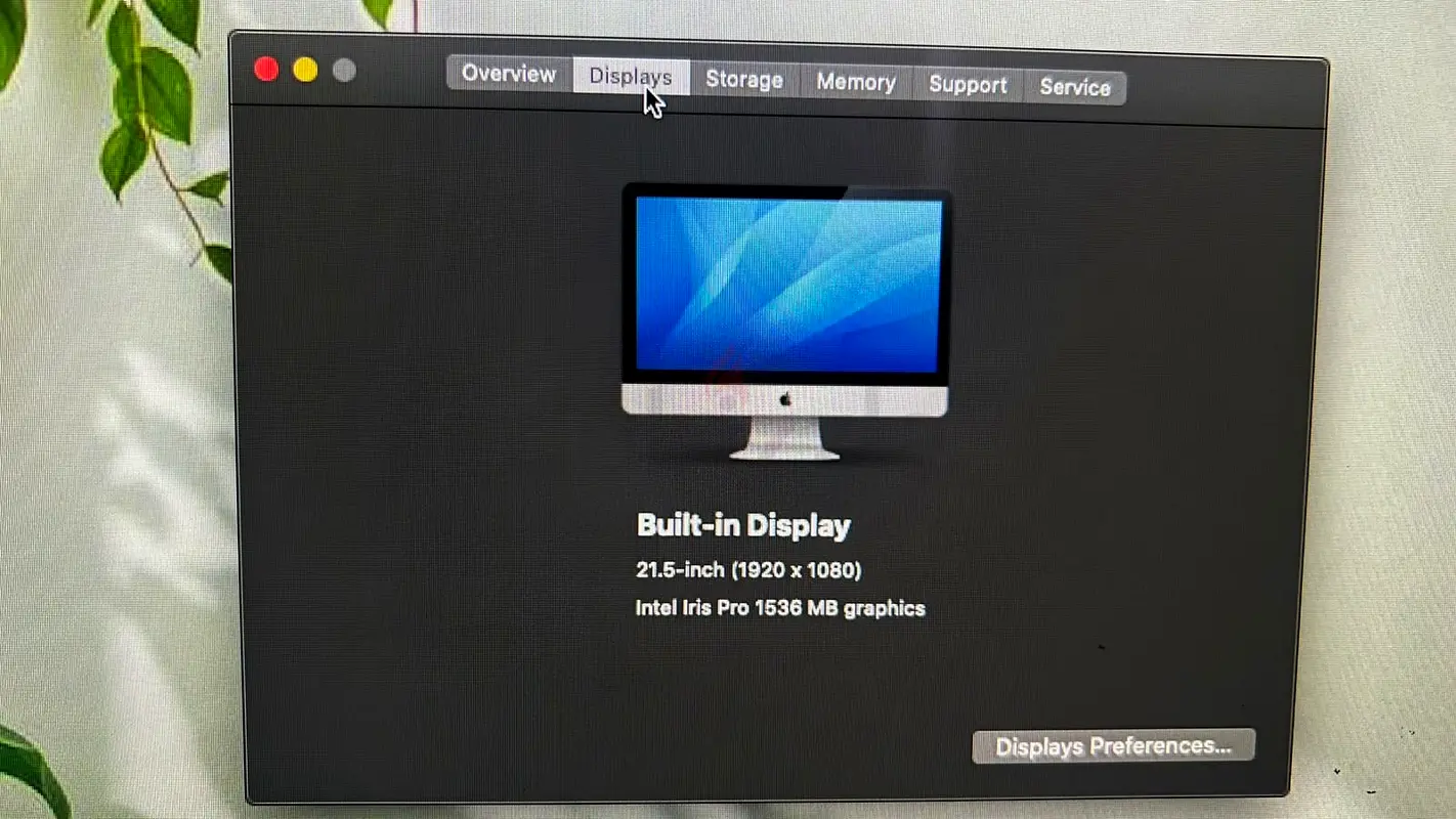 gallery-image