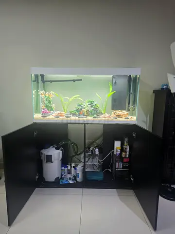 Branded Aquarium I Full Setup | Including Double Filters