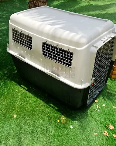 Dogs carriers for air travel