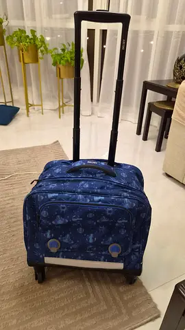 Authentic DELSEY school bag