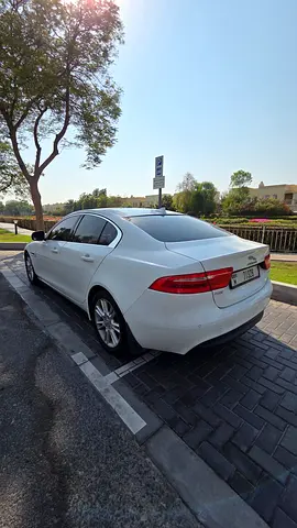 صورة 5 لـ 2016 Jaguar XE