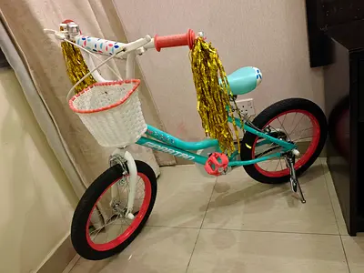 Girls' 16-inch Bicycle with Basket and Streamers - Lightly Used