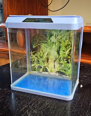 Aquarium/fish tank