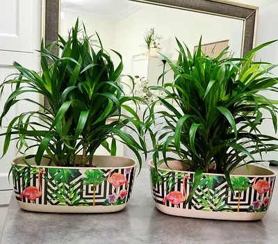Set of 2 Decorative Indoor Planters with Tropical Flamingo Design