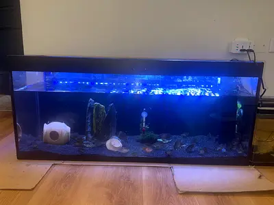 100cm Home Fish Aquarium Tank with LED Lighting filter and Gravel Decor