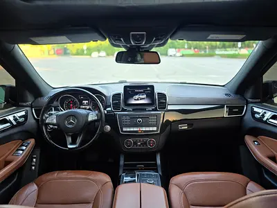 2018 Mercedes-BENZ GLS 照片 10