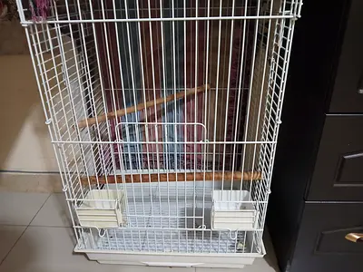 Pet cage