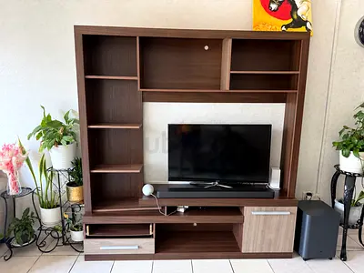 TV unit