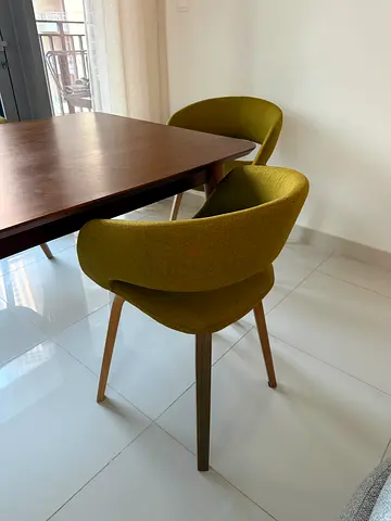 Set of 6 Modern Green Dining Chairs with Wooden Legs