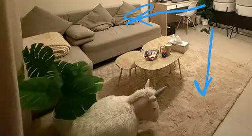 Sofa Cum Bed with Carpet