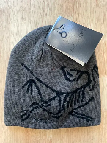 Arc'teryx beanie