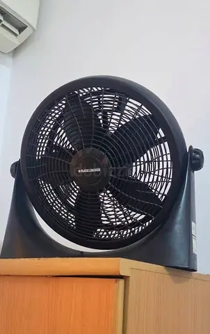 fan
