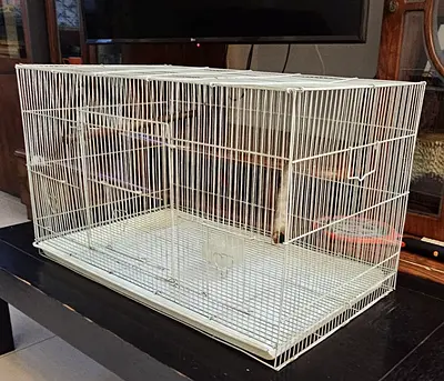 White metal bird cage with perches and removable tray and bowls - good condition