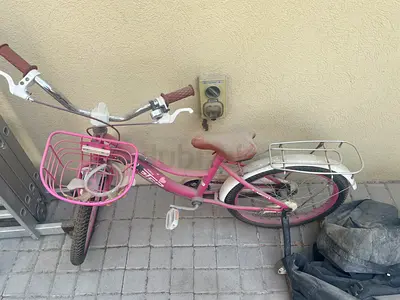 Pink Kids Bicycle with Front Basket and Rear Rack