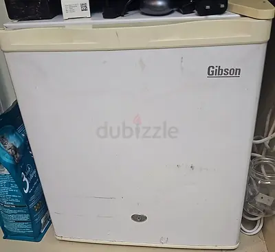 Mini fridge