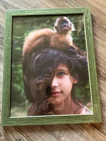 Jungle picture frames