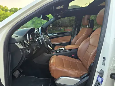 2018 Mercedes-BENZ GLS 缩略图 15