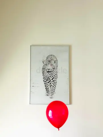 Framed Black & White Leopard Wall Art