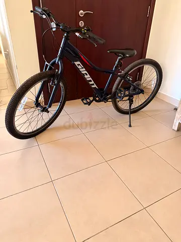 Giant 24 inch Cycle for Sale!