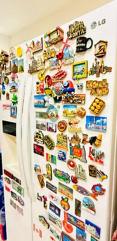 Side by side fridge
