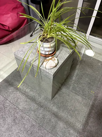 Modern Gray Stone Finish Glass Coffee Table