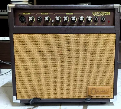 Carlbro Sherwood 20R Guitar/Voice Combo Amp - Clean Condition