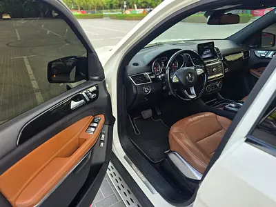 2018 Mercedes-BENZ GLS 缩略图 14