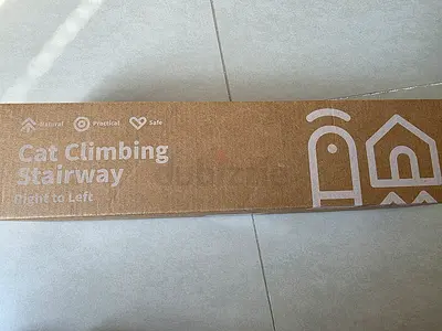 Cat Climbing Stairway Right to Left