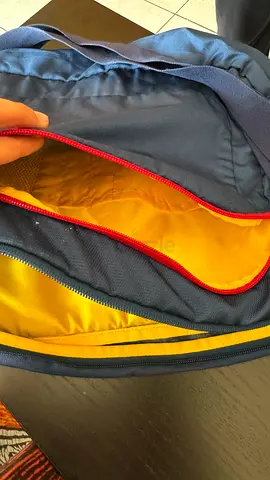 Wildcraft Sports or Laptop Bag