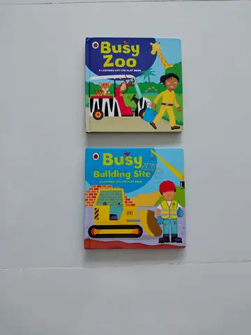 BUSY Lift the Flap Book set (2 books)