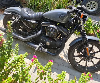 2022 Harley-Davidson Iron 883 | 2,937 KM | New Tyres & Fresh Mulkiya