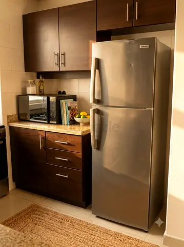 Silver Top-Freezer Refrigerator - Good Condition
