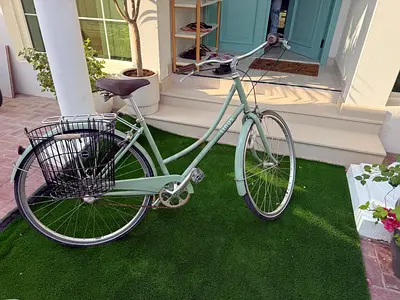 Linus Dutch Style City Bicycle with Rear Basket
