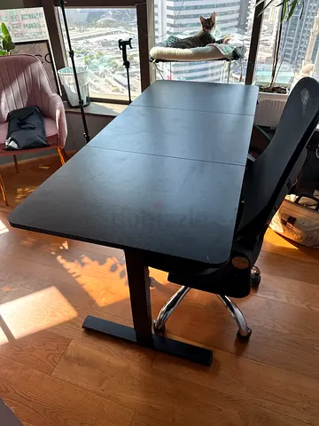 Electric Standing Desk, Adjustable Height, Sit Stand Up Desk for Home Office & Computer (140 * 60 cm