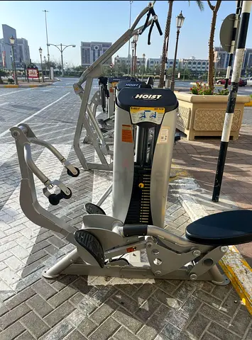 Hoist seated Mid Row