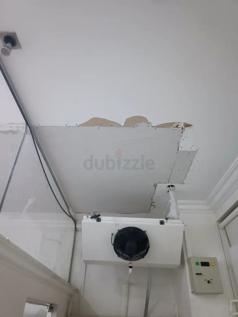 DPV_View_Image_5
